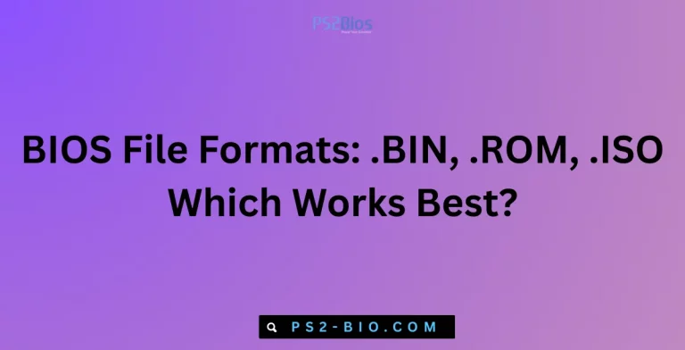 BIOS File Formats .BIN, .ROM, .ISO Which Works Best (1)